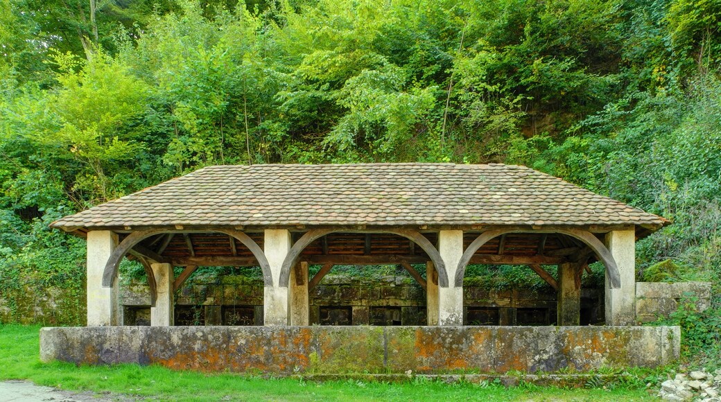 ภาพ "แซงต์ดิซิเยร์-เลเวก" โดย ComputerHotline (CC BY) / ตัดภาพจากขนาดต้นฉบับ