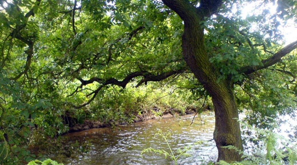 « District de Mansfield», photo de James Hill (CC BY-SA) / rognĂ©e de lâoriginale
