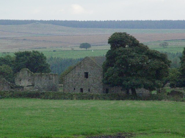 Foto “Felliscliffe” tomada por Malcolm Street (CC BY-SA); recorte de la original