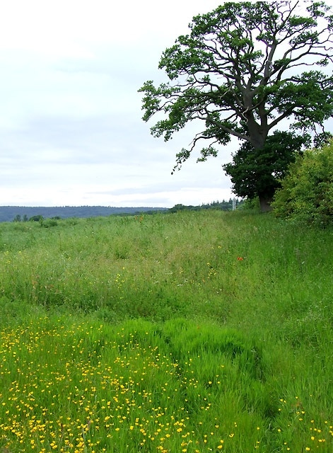 Foto „Barrow“ von Roger Kidd (CC BY-SA)/zugeschnittenes Original