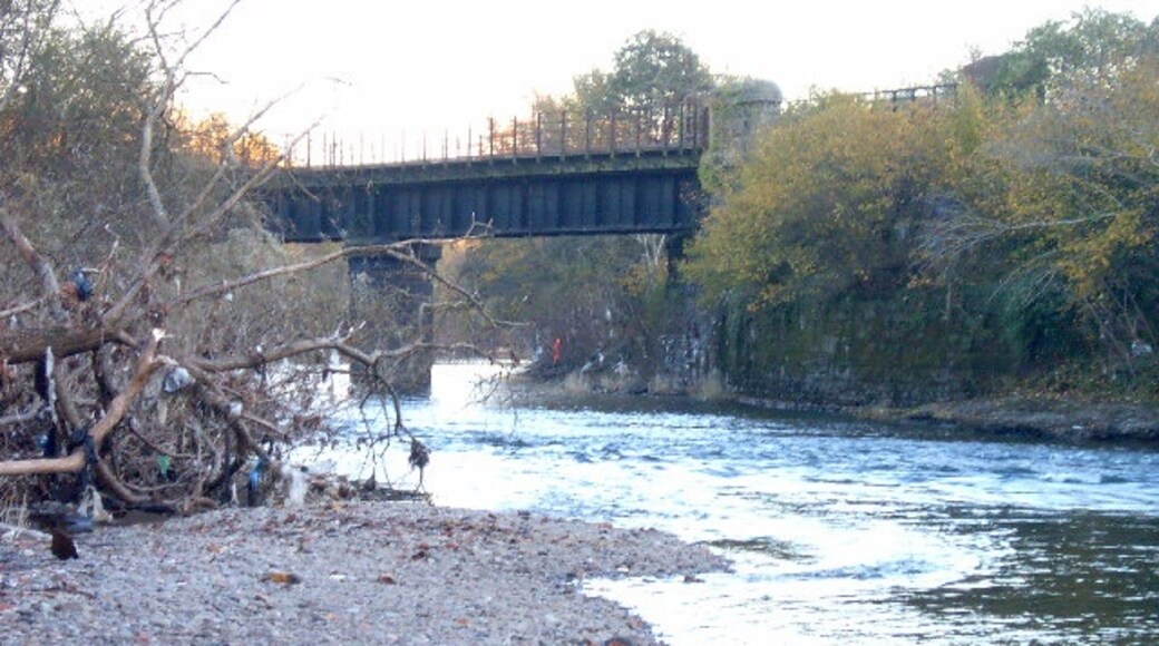 Photo "Llandaff North" by nantcoly (CC BY-SA) / Cropped from original