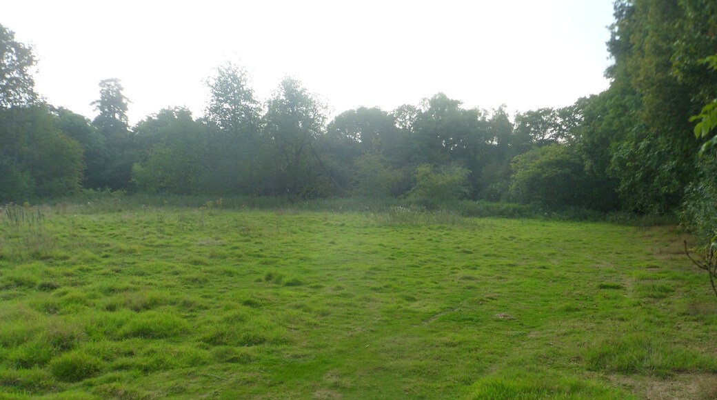 One of a series of photos chronicling the development of Crawley New Town's 14th residential neighbourhood, Forge Wood. This view shows a large field on the south side of the public footpath leading from Balcombe Road (opposite the Steers Lane junction) past Toovies Farm, across the M23 and eventually to Copthorne. This land will be developed with housing as part of Phase 2 of the Forge Wood neighbourhood.