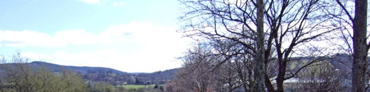 Photo "Old railway line? At Bala, alongside the Afon Tryweryn" by Bob Abell (Creative Commons Attribution-Share Alike 2.0) / Cropped from original