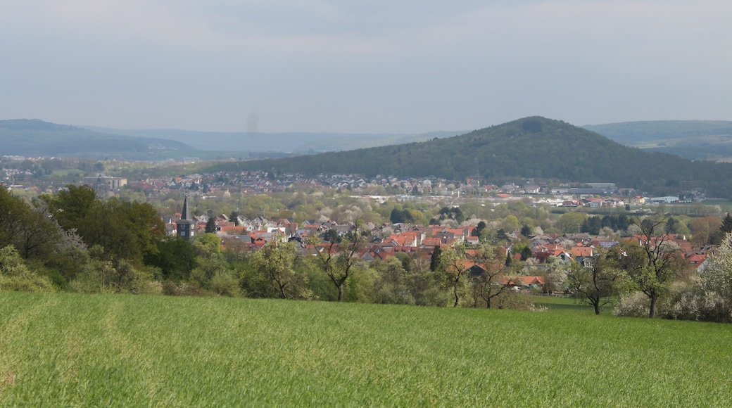 Photo "Wettenberg" by Gerold Rosenberg (CC BY-SA) / Cropped from original