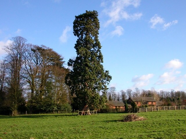 "Litchborough"-foto av Ian Rob (CC BY-SA) / Urklipp från original