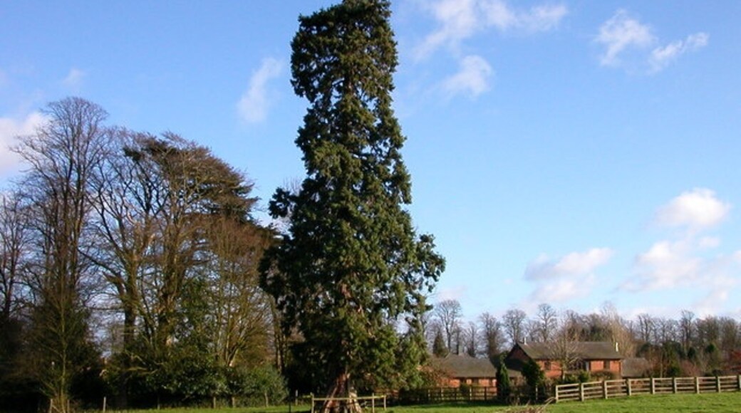 "Litchborough"-foto av Ian Rob (CC BY-SA) / Urklipp från original