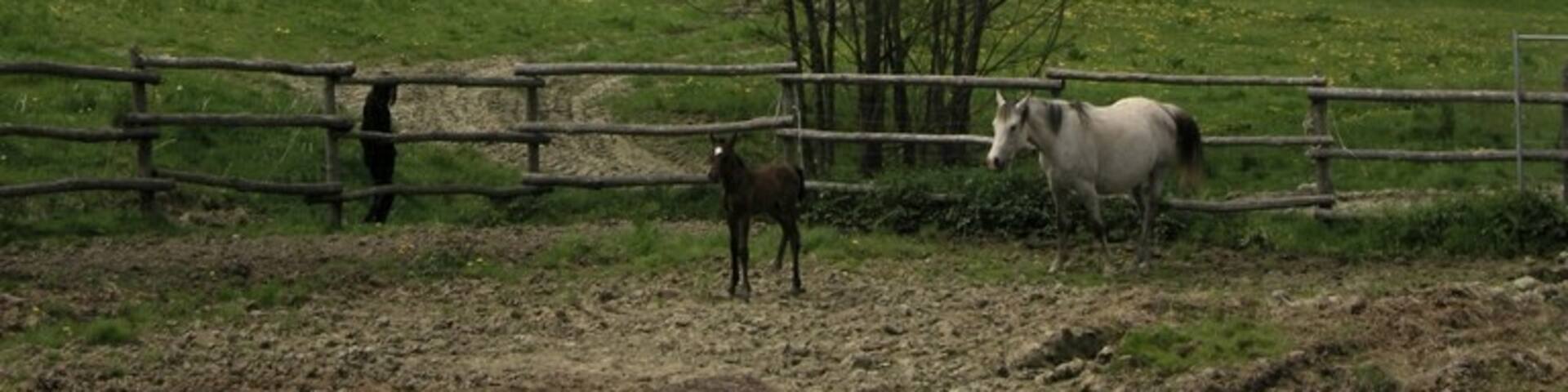 Montefortino, Marche, Italy