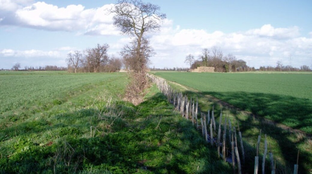 Foto "Fen Ditton" por David Gruar (CC BY-SA) / Recortada de la original