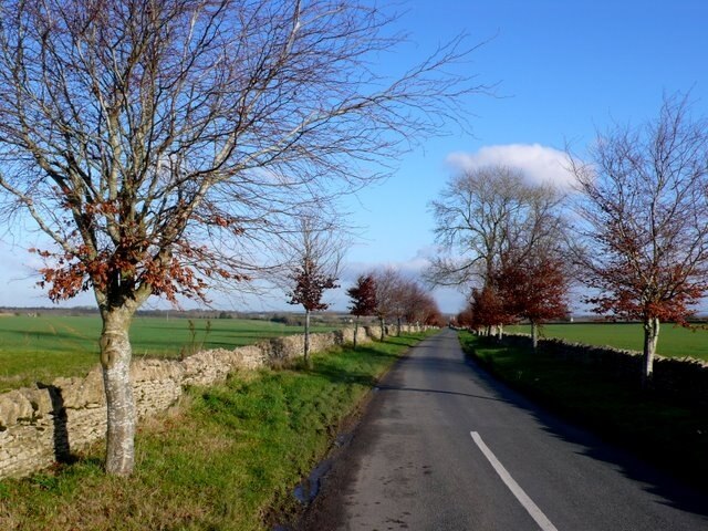 Billede "Hampnett" af Nigel Mykura (CC BY-SA) / beskåret fra det originale billede