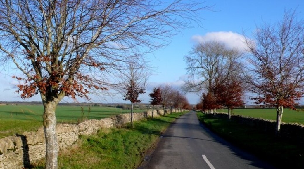 Billede "Hampnett" af Nigel Mykura (CC BY-SA) / beskåret fra det originale billede