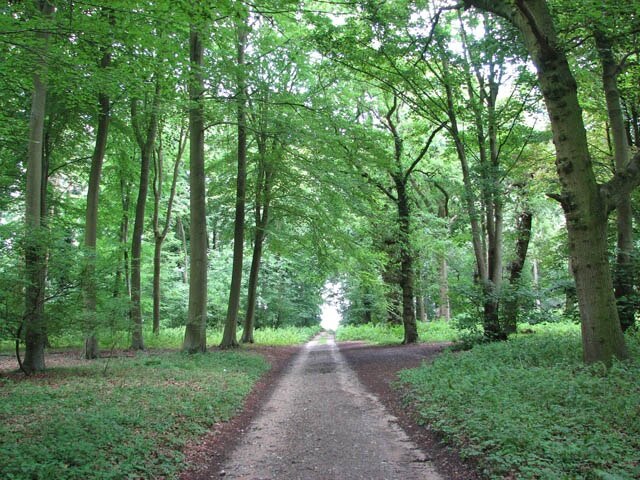 "Hockham"-foto av Evelyn Simak (CC BY-SA) / Urklipp från original