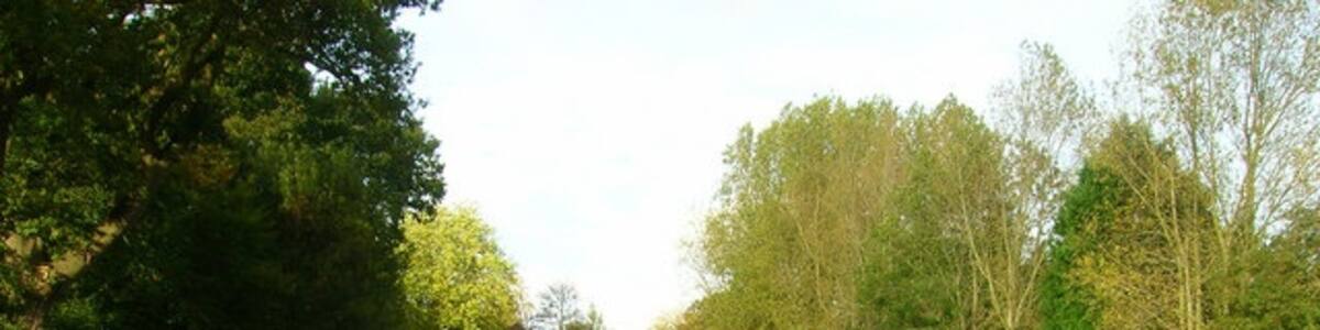 Photo "Entrance to Hidden Springs Vineyard The farm house is just visible in the centre of the picture. In the foreground a magpie has decided to jump on the back of the sheep lying down." by Simon Carey (Creative Commons Attribution-Share Alike 2.0) / Cropped from original