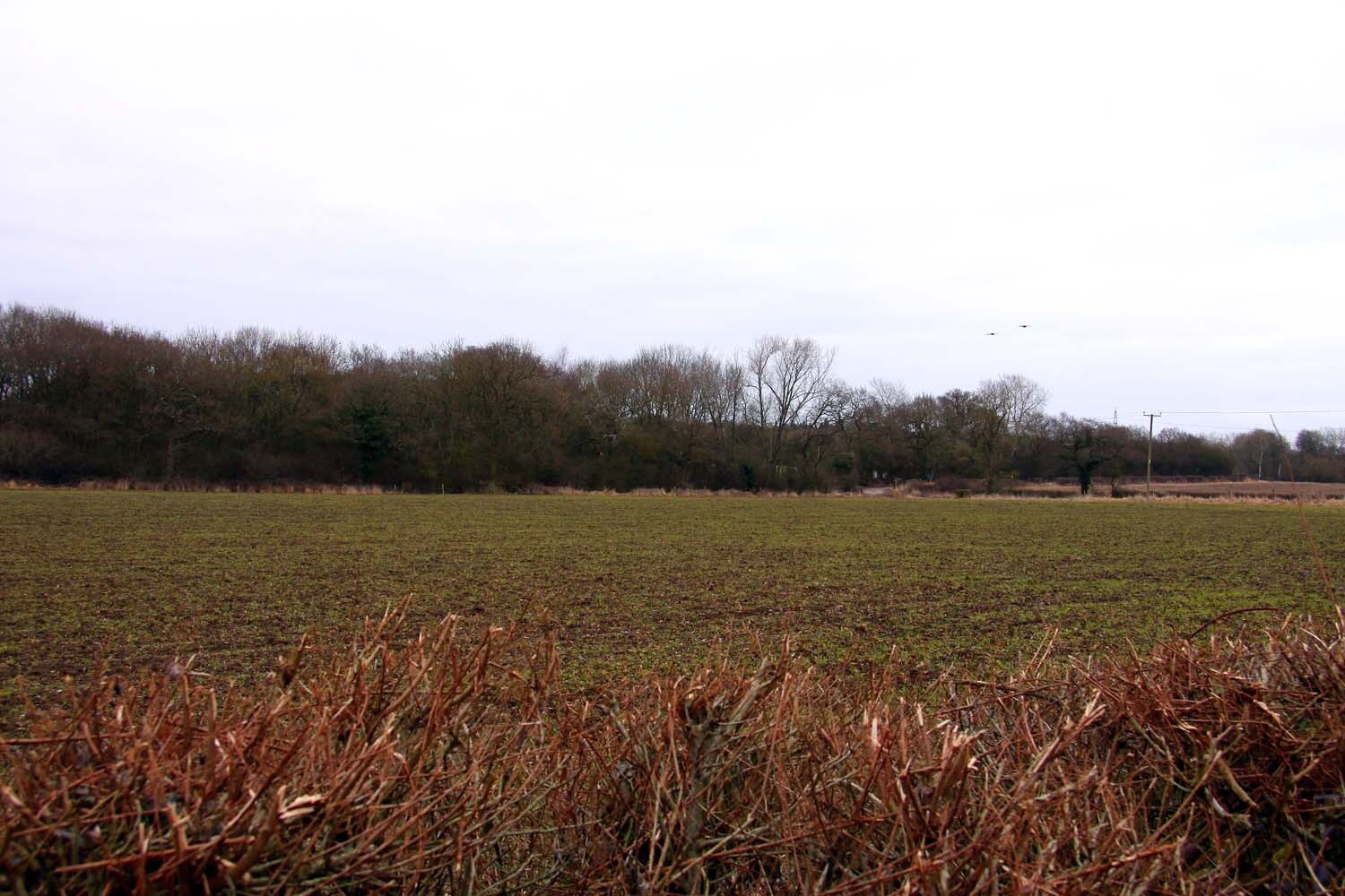 Photo "Worminghall" by Steve Daniels (CC BY-SA) / Cropped from original