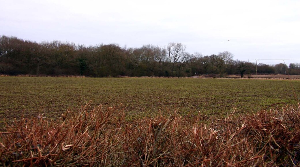 Photo "Worminghall" by Steve Daniels (CC BY-SA) / Cropped from original