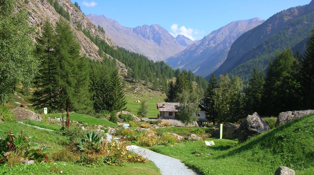Paradisia Alpine Botanical Garden, Cogne, Valle d'Aosta, Italy