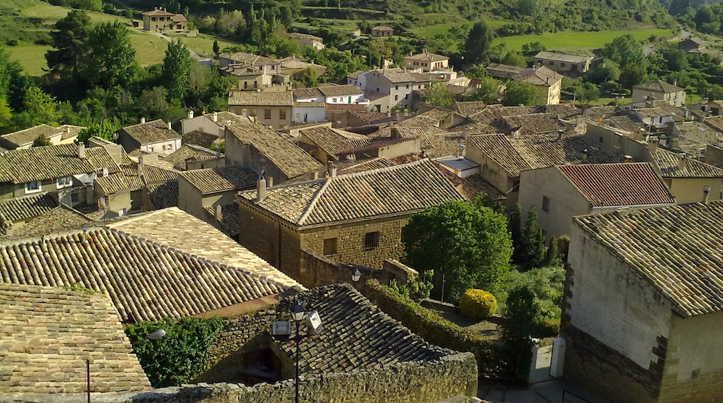 Foto "Comarca de las Cinco Villas" de France64160 (CC BY-SA) / Recortada do original