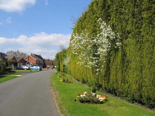 Pratt's Lane, Mappleborough Green. The lane forms a quiet loop of residential housing off the main Birmingham - Alcester road on the western edge of this square.