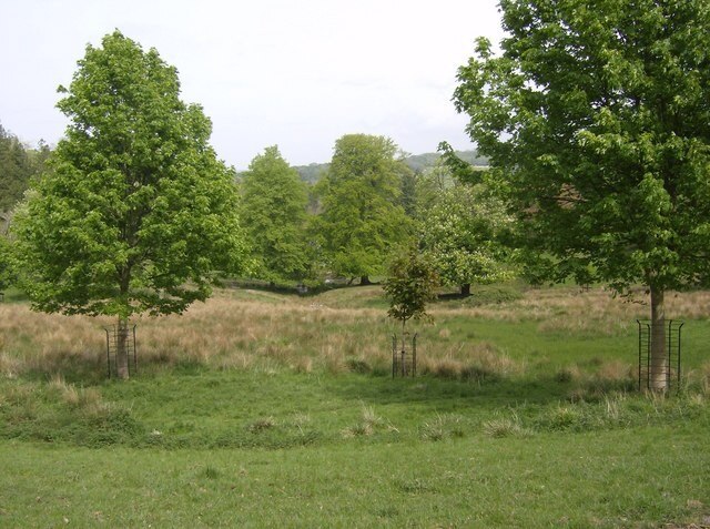 Foto "Melbury Sampford" por Graham Horn (CC BY-SA) / Recortada de la original