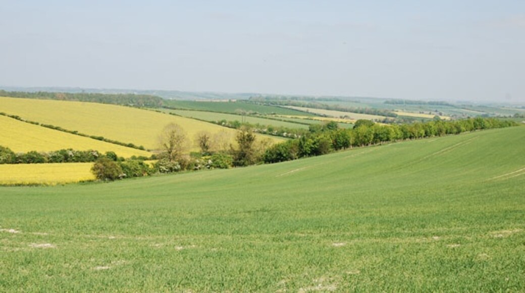 Photo "Blandford St. Mary" by Toby (CC BY-SA) / Cropped from original