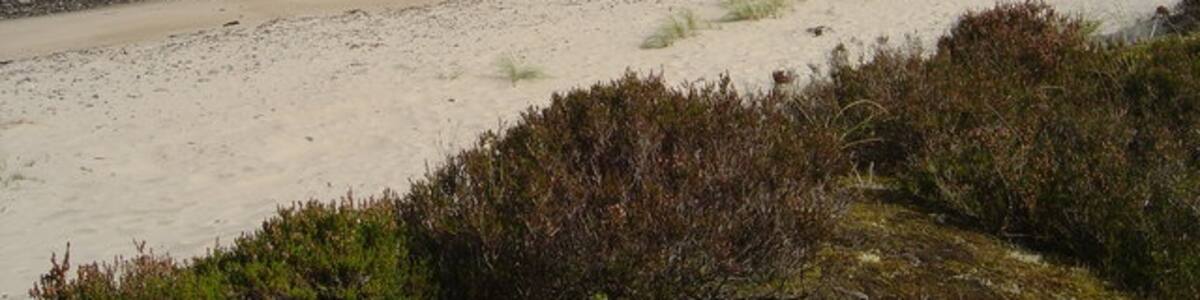 Photo "Singing Sands These dunes overlook the sands at Camas an Lighe, known as the Singing Sands. Signs warn of unexploded ordnance from a previous, wartime, use." by Ian Lavender (Creative Commons Attribution-Share Alike 2.0) / Cropped from original