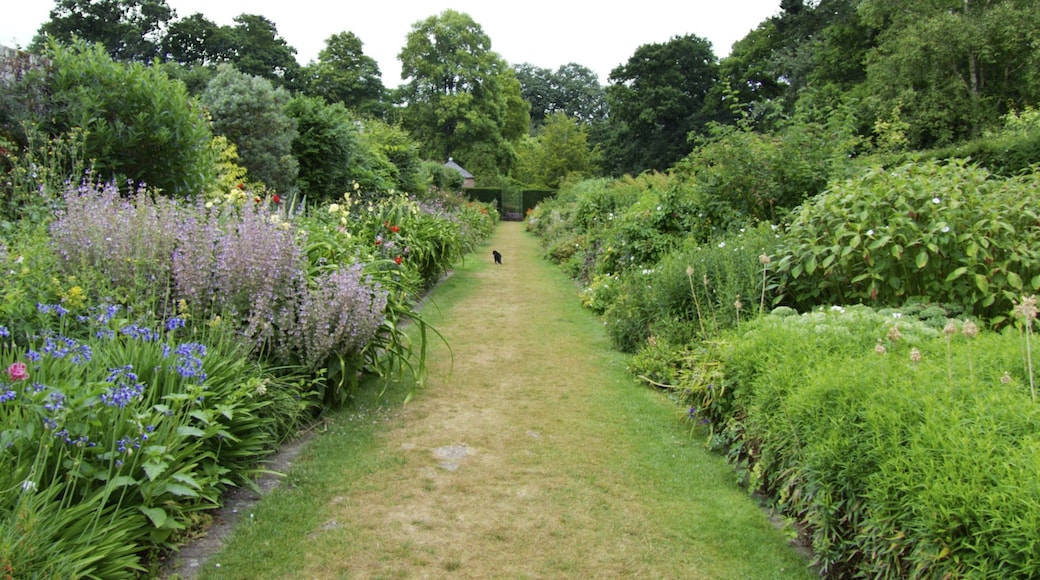 Photo "Upton Country Park" by Ian Kirk (CC BY) / Cropped from original