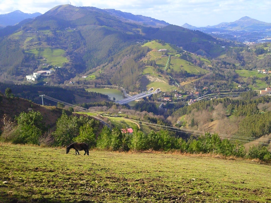 Puente de la SuperSur sobre Gorostiza