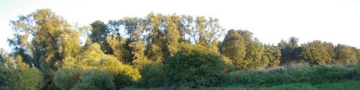 Photo "Evening view across the River Great Ouse Don't recommend anyone tries to replicate this unless they're impervious to nettles. Ouch!" by Fractal Angel (Creative Commons Attribution-Share Alike 2.0) / Cropped from original