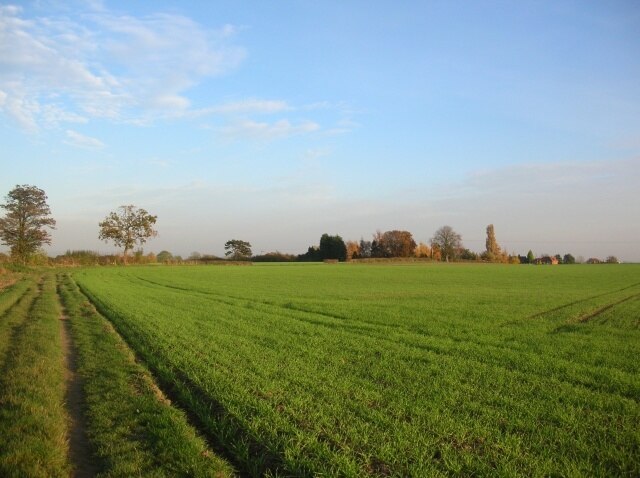 Photo "Gate Helmsley" by DS Pugh (CC BY-SA) / Cropped from original