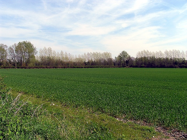 Aldermaston Wharf Farmland. Taken from the east side of the A340, looking north east, this view is situated in the north eastern quadrant of the grid square. Most of this grid square contains farmland similar to this view.