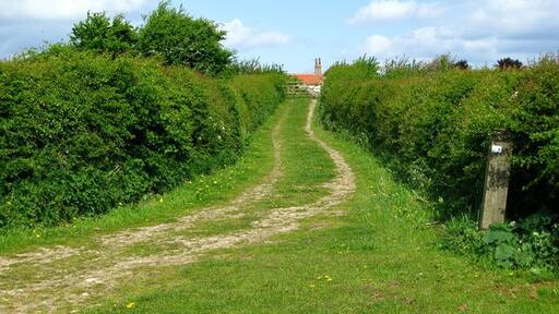 Ảnh "Milby" của David Rogers (CC BY-SA) / Cắt từ ảnh gốc