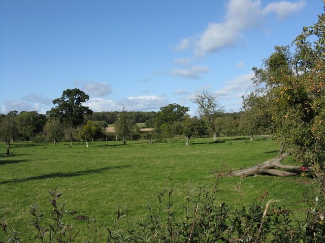 Foto “Churchill” tomada por Whatlep (CC BY-SA); recorte de la original