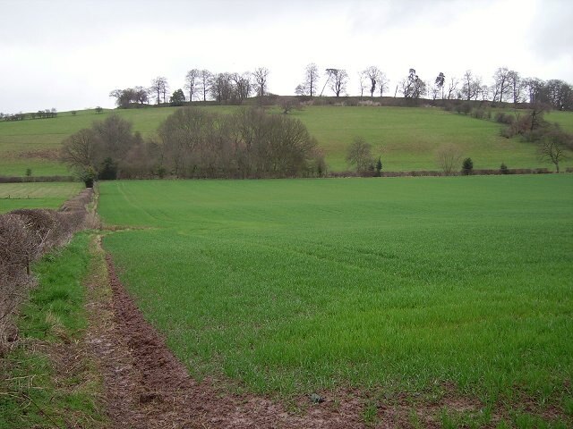 Caynham Camp. Hillfort on a limestone ridge. Looking north.