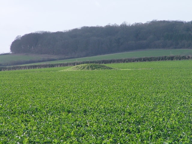 Tumulus on King Down