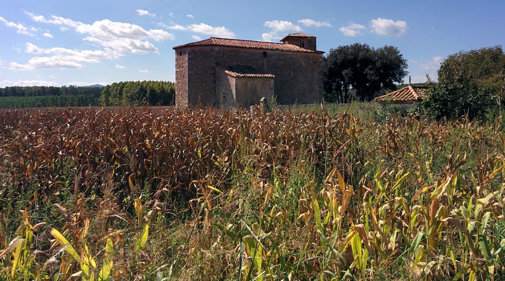 Photo "Cervià de Ter" by Jvinolase (CC BY-SA) / Cropped from original