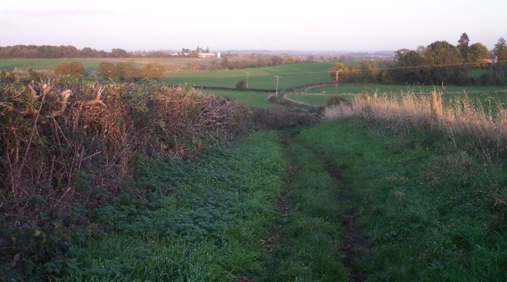 Foto “Broadheath” tomada por Bob Embleton (CC BY-SA); recorte de la original