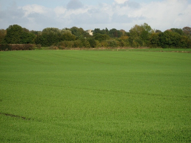 Foto “Garvestone” tomada por Roger Gilbertson (CC BY-SA); recorte de la original