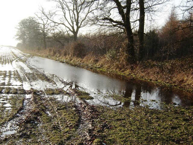 Photo "South Cliffe" by martin dawes (CC BY-SA) / Cropped from original