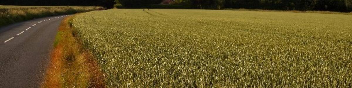 Photo "Harram Bottom. Farmland between Whepstead and Horringer." by Bob Jones (Creative Commons Attribution-Share Alike 2.0) / Cropped from original