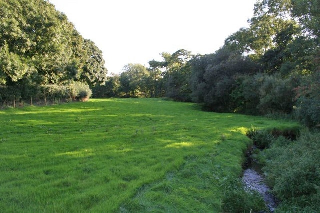 Pasture from the bridge Small plot of pasture land near the footpath.