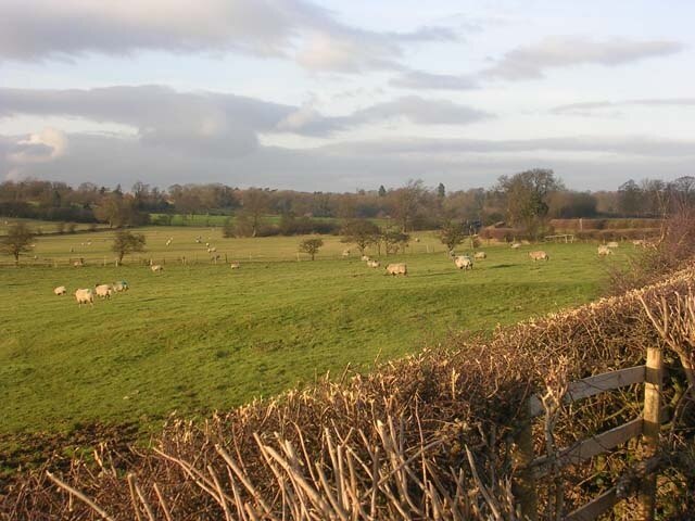 Kuva ”Moulton” käyttäjältä Oliver Dixon (CC BY-SA) / rajattu alkuperäisestä kuvasta