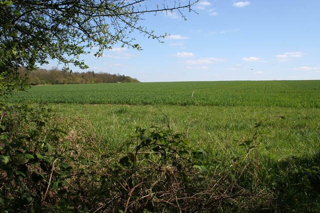 Foto “Kirkby Underwood” tomada por Kate Jewell (CC BY-SA); recorte de la original