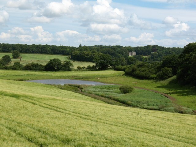 "Ellington High and Low"-foto av Gordon Hatton (CC BY-SA) / Urklipp från original