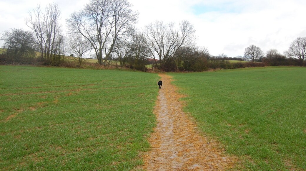 "Theydon Garnon"-foto av Trevor Harris (CC BY-SA) / Urklipp från original