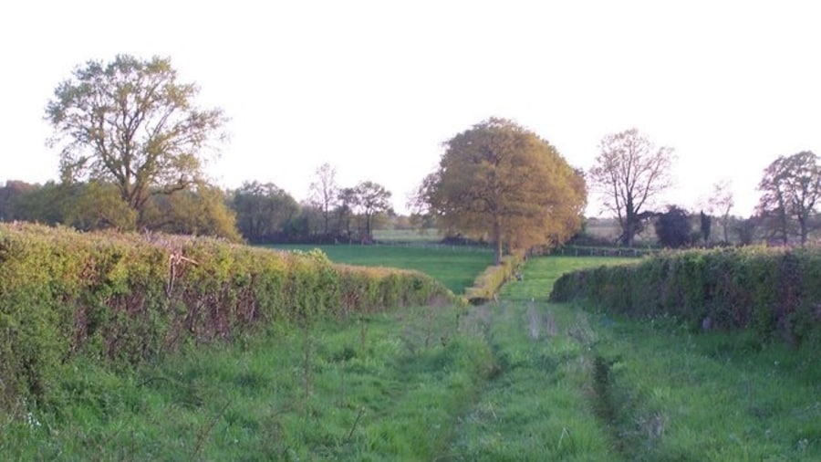 Photo "Footpath near Stonyford The last of the sunlight just catches the tops of the hedges and trees" by David Martin (Creative Commons Attribution-Share Alike 2.0) / Cropped from original