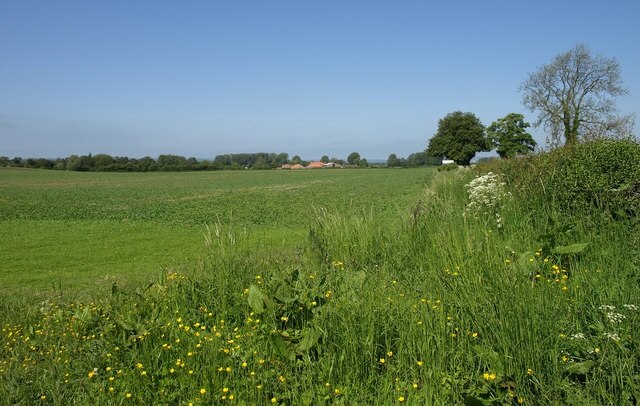 Foto “Ellerton-on-Swale” tomada por wfmillar (CC BY-SA); recorte de la original