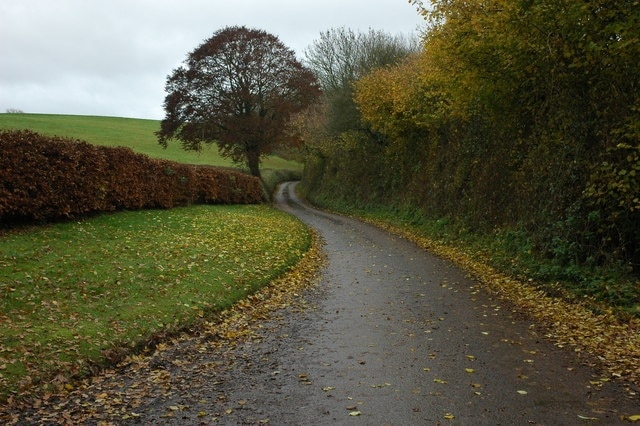 Country road south of Nymet Rowland Country road to the south of Nymet Rowland where it passes the entrance to Cleaveaner Farm.