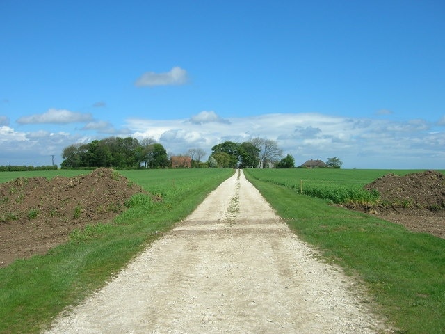 "Muston"-foto av JThomas (CC BY-SA) / Urklipp från original