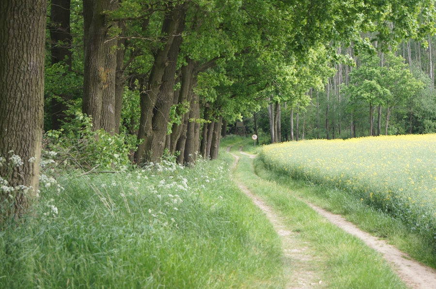 Landschaftsschutzgebiet Kottmar, Sachsen