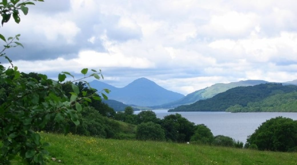 Foto “Ardtalnaig” feta per Richard Webb (CC BY-SA). Retallada de l’original.
