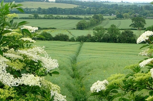 "King's Sutton"-foto av Graham Horn (CC BY-SA) / Urklipp från original
